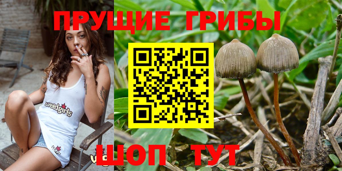 APVP СОЛЬ кристаллы  Cocaine  Кумертау  ГАШ  Codein  Лсд 25  Меф МЯУ МЯУ кристаллы  Вход с VPN 